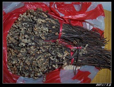 探尋優質蕨菜干 從廠家樣板圖到上海批發——湖北四季農產品價格解析