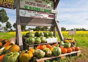 借鑒國外經驗，破解農產品滯銷難題