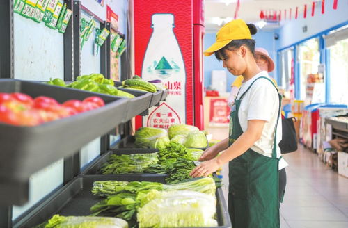 海口經(jīng)濟(jì)圈 以產(chǎn)銷對(duì)接為紐帶，譜寫市縣優(yōu)勢(shì)互補(bǔ)、資源共享新篇章