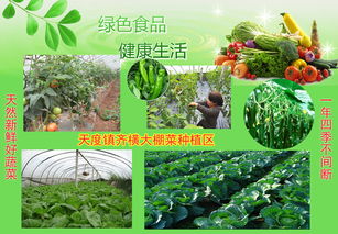 農(nóng)產(chǎn)品信息發(fā)布 連接產(chǎn)銷，賦能現(xiàn)代農(nóng)業(yè)